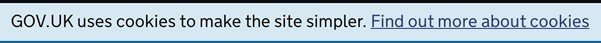 GOV UK Notification on Cookies