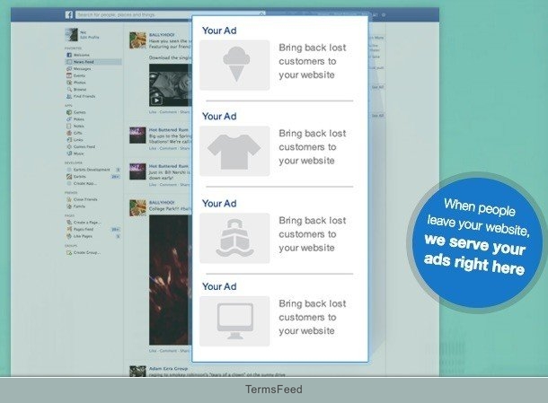 Screenshot from Perfect Audience website