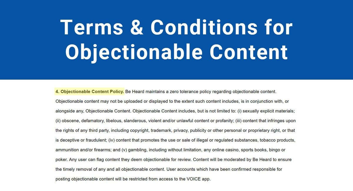 Terms & Conditions for Objectionable Content