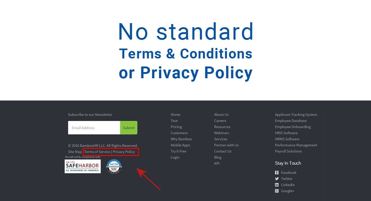 No Standard Terms & Conditions or Privacy Policy