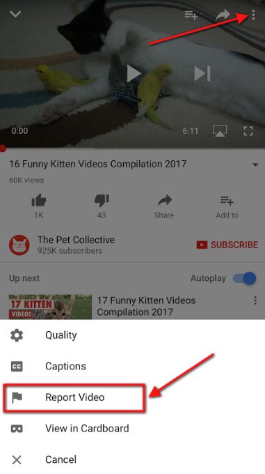 YouTube iOS: Report button for objectionable video content
