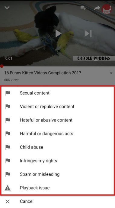 YouTube iOS Reporting Objectionable Content: Choose reason