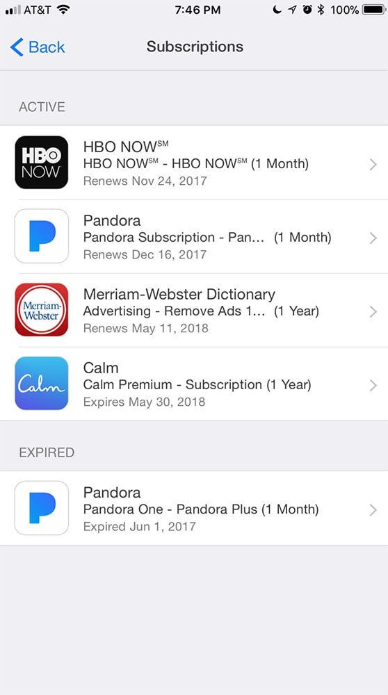 A generic subscriptions list on an Apple mobile device