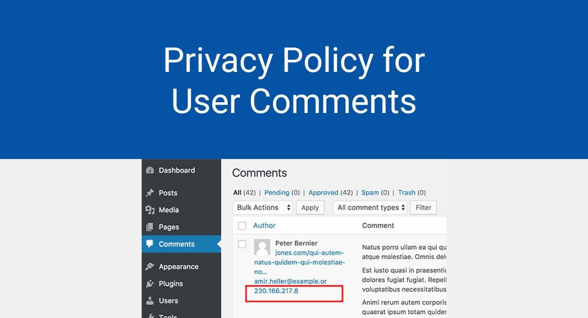 Privacy Policy for User Comments