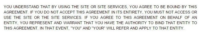 Generic browsewrap clause in Terms and Conditions