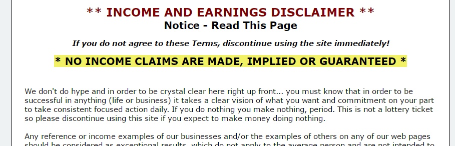 Example of an income and earnings disclaimer