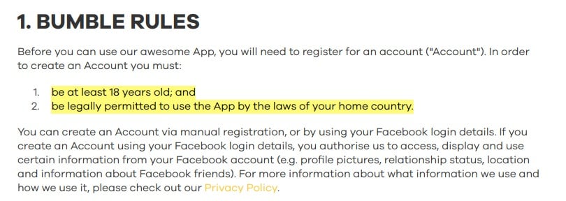 Bumble Terms and Conditions of Use: Bumble Rules clause - legal age and laws excerpt