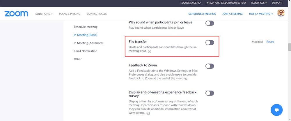 Zoom: In Meeting Basic - File Transfer option highlighted