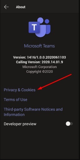 Microsoft Teams app About menu with Privacy and Cookies link highlighted