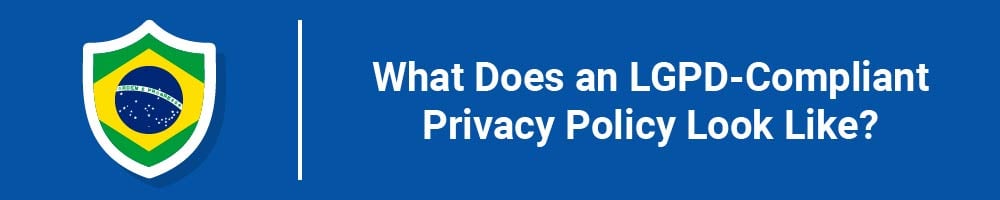 What Does an LGPD-Compliant Privacy Policy Look Like?
