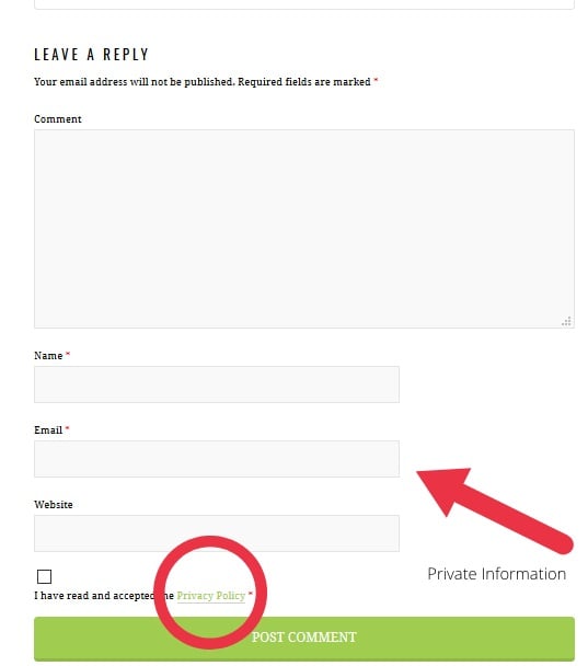 Momsense blog comment form with Privacy Policy link highlighted
