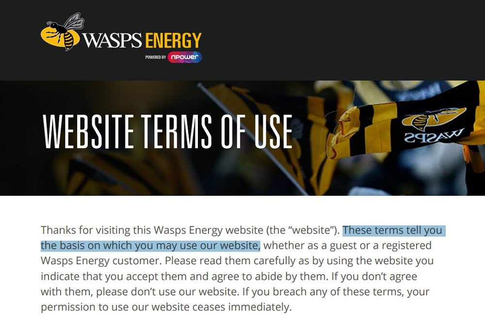 Wasps Energy Website Terms of Use: Introduction clause