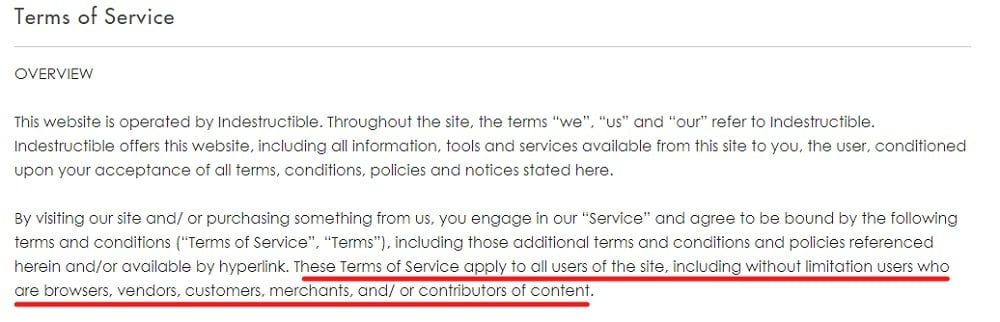 Indestructible Shoes Terms of Service: Overview introduction clause