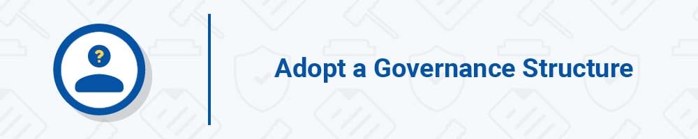 Adopt a Governance Structure