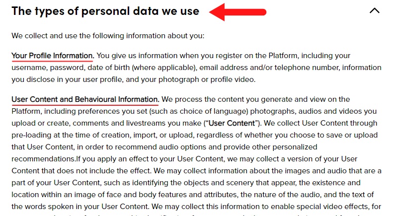 TikTok Privacy Policy: The types of personal data we use clause