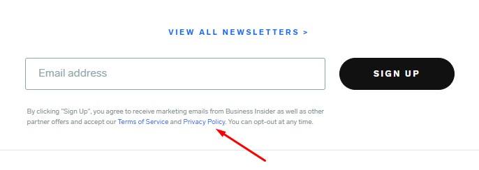 Business Insider email newsletter sign up form with Privacy Policy link highlighted - Updated