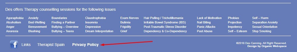 Des Canning website footer with Privacy Policy link highlighted