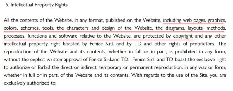 Chiara Ferragni Conditions of Use: Intellectual property rights clause