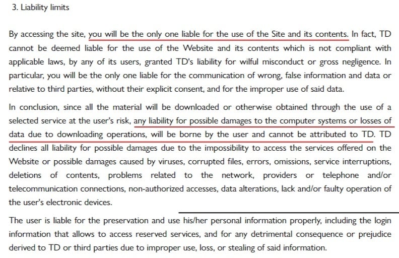 Chiara Ferragni Conditions of Use: Liability Limits clause