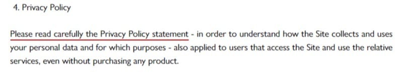 Chiara Ferragni Conditions of Use: Privacy Policy clause