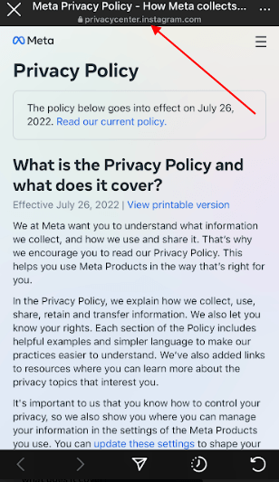 Instagram app with Privacy Policy URL opened