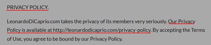 Leonardo DiCaprio Terms of Use: Privacy Policy clause