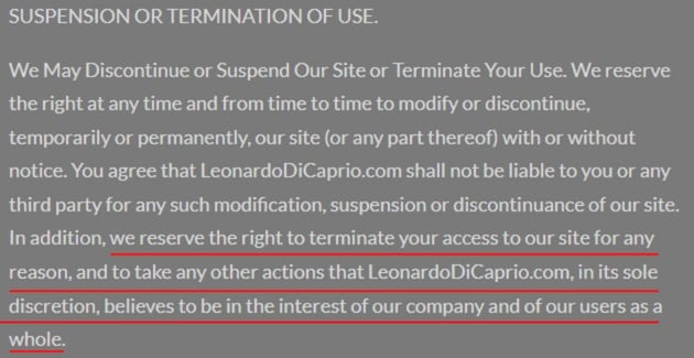 Leonardo DiCaprio Terms of Use: Suspension or Termination of Use clause