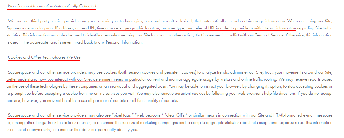 PixelFondue Privacy Policy: Non-personal Information Automatically Collected and Cookies and Other Technologies clauses with Squarespace highlighted