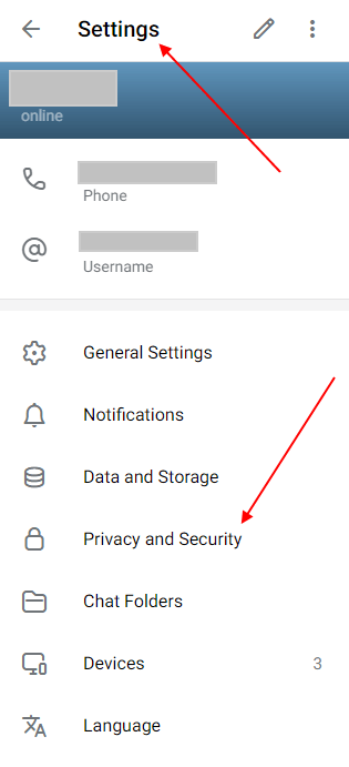 Telegram desktop app Settings menu with Privacy and Security sub menu highlighted