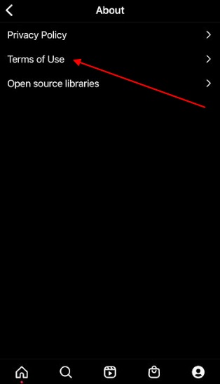 Instagram mobile app About menu with Terms of Use highlighted