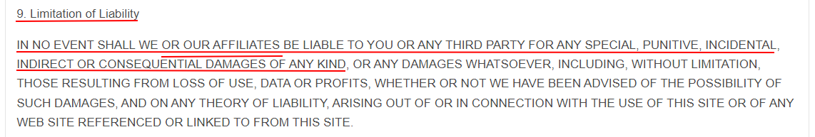 IT Guys Terms of Use: Limitation of Liability clause excerpt