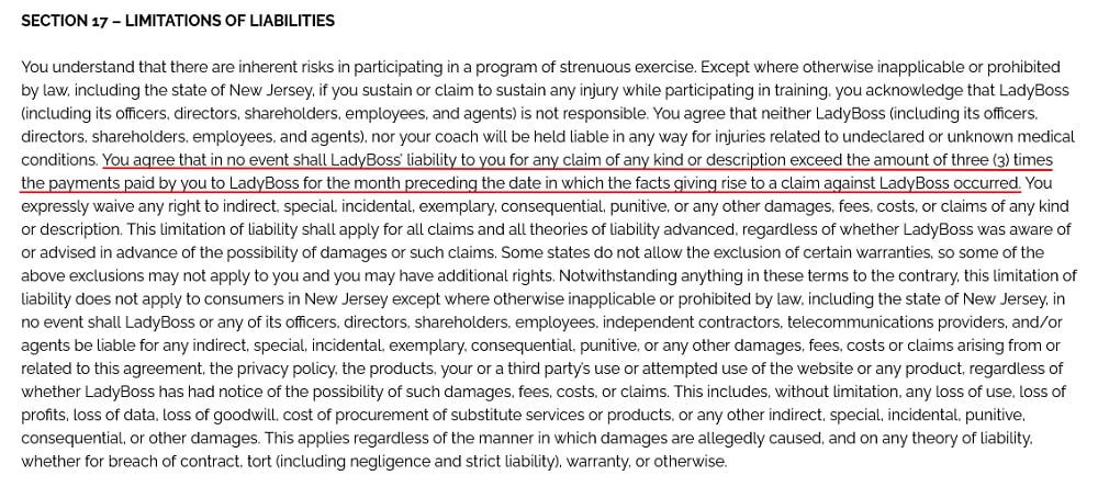 LadyBoss Terms and Conditions: Limitations of Liability clause