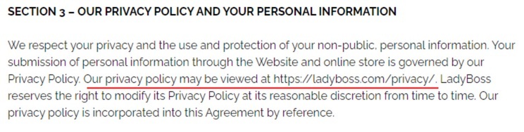 LadyBoss Terms and Conditions: Our Privacy Policy and Your Personal Information clause