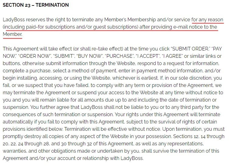 LadyBoss Terms and Conditions: Termination clause