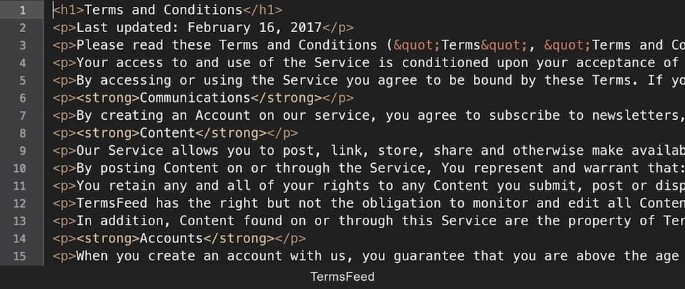 Example of generated Terms & Conditions in HTML format