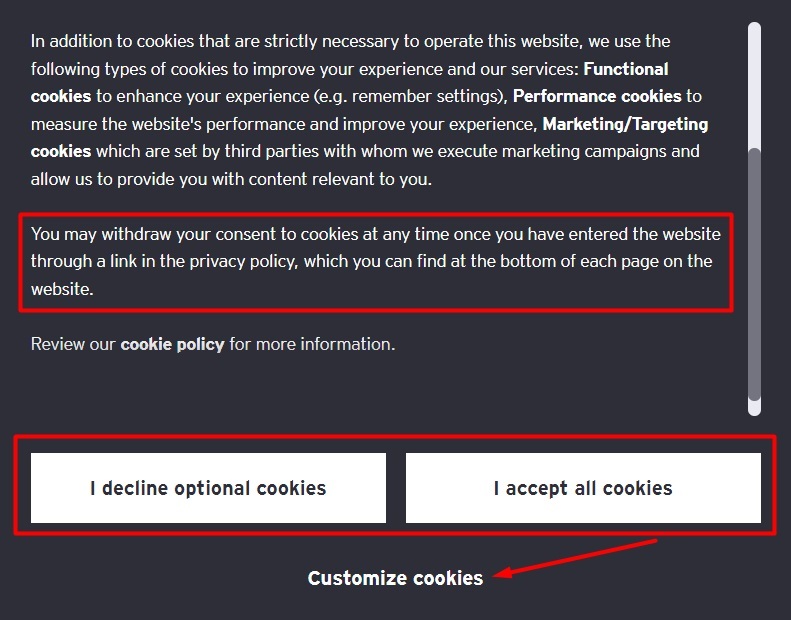 EY cookie consent banner