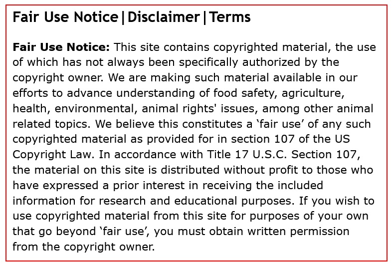 Fair Use Disclaimer Definition