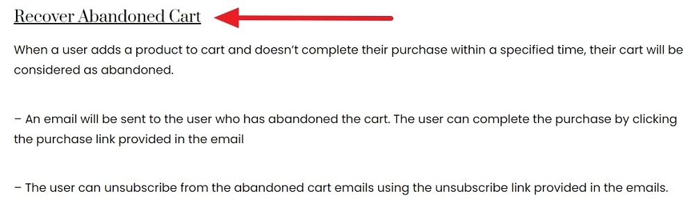 ByValentinaCastro Privacy Policy: Recover Abandoned Cart clause
