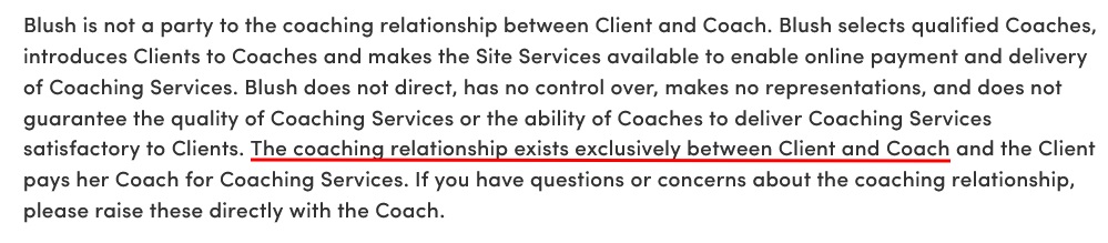 Blush Terms and Conditions: Professional Relationship disclaimer