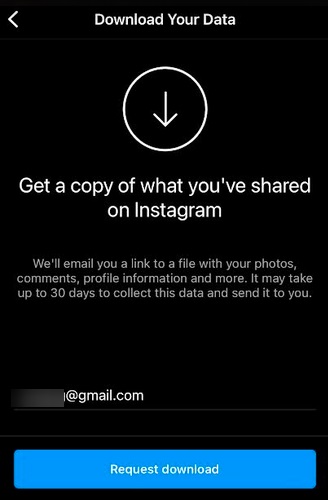 Instagram Download Your Data screen