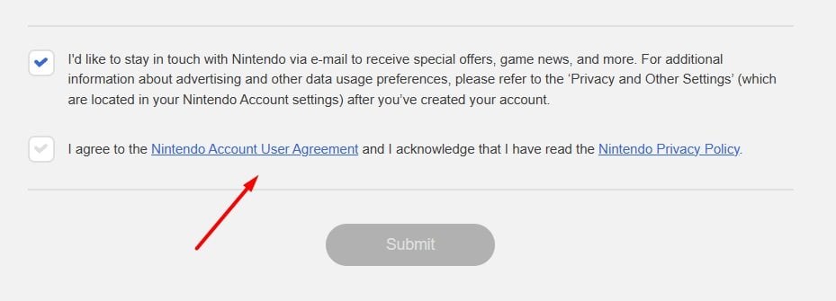 Nintendo Agree to user agreement with checkbox highlighted