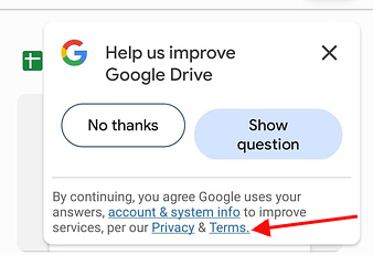 Google survey with Agree to Privacy and Terms links highlighted