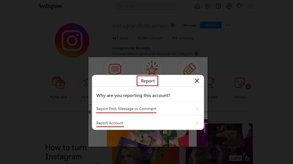 Instagram Example - Account - Report form menu options highlighted