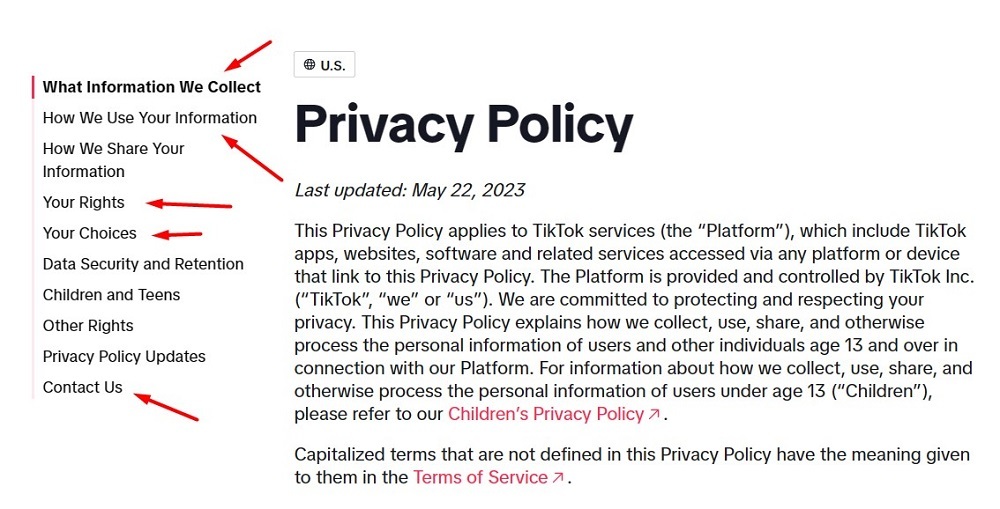 TikTok Privacy Policy: Intro clause