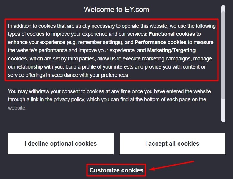 EY Cookie Consent Banner with cookie categories and customize option highlighted