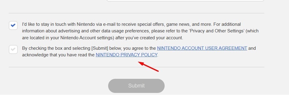 Nintendo form with Privacy Policy link highlighted