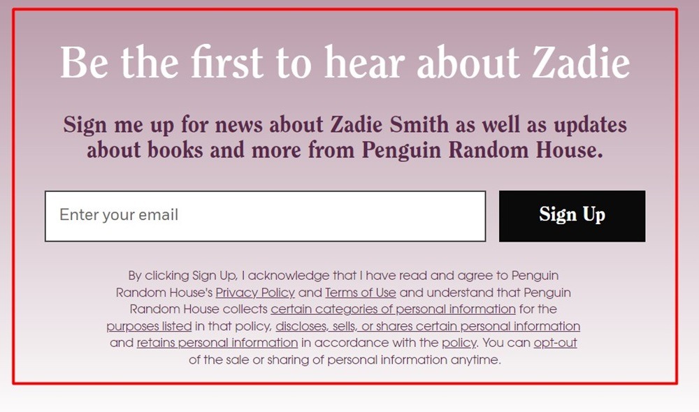 Zadie Smith email sign-up form