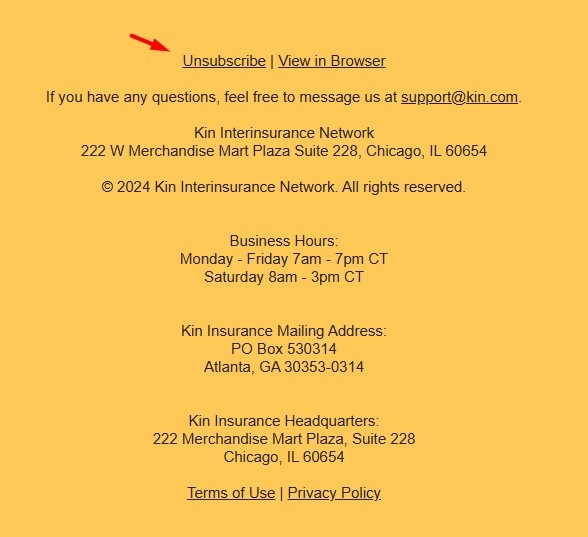 Kin Insurance email screenshot
