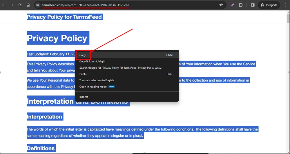 TermsFeed Download page Privacy Policy Link - copy all text highlighted