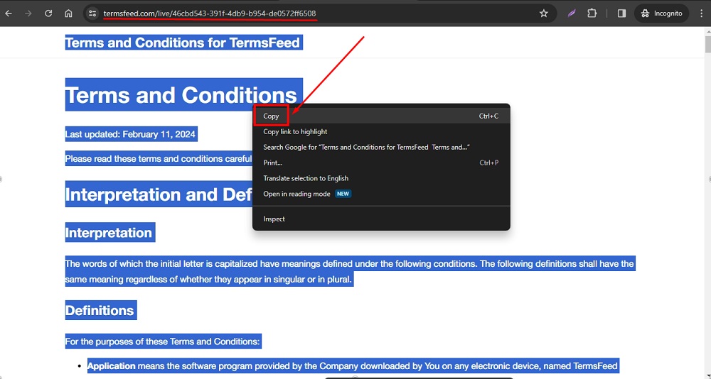 TermsFeed Download page Terms and Conditions Link - copy all text highlighted